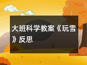 大班科學(xué)教案《玩雪》反思