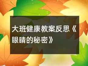 大班健康教案反思《眼睛的秘密》