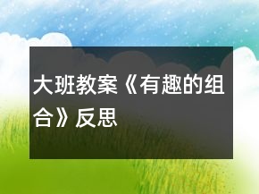 大班教案《有趣的組合》反思