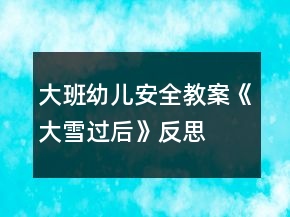 大班幼兒安全教案《大雪過后》反思