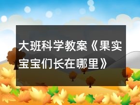 大班科學(xué)教案《果實(shí)寶寶們長在哪里》反思
