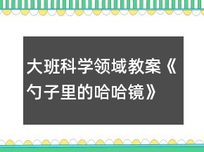 大班科學(xué)領(lǐng)域教案《勺子里的哈哈鏡》反思
