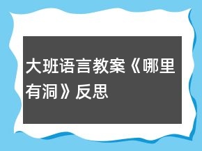 大班語(yǔ)言教案《哪里有洞》反思