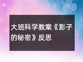 大班科學(xué)教案《影子的秘密》反思