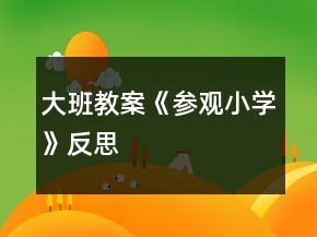 大班教案《參觀小學(xué)》反思