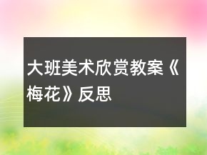 大班美術(shù)欣賞教案《梅花》反思