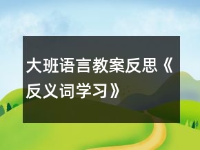 大班語(yǔ)言教案反思《反義詞學(xué)習(xí)》