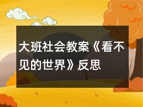 大班社會教案《看不見的世界》反思
