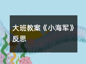 大班教案《小海軍》反思