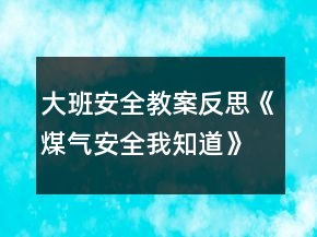 大班安全教案反思《煤氣安全我知道》