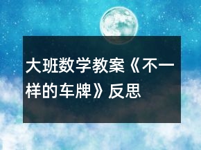 大班數(shù)學(xué)教案《不一樣的車牌》反思