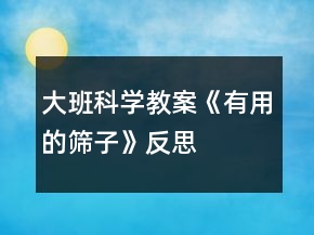 大班科學(xué)教案《有用的篩子》反思