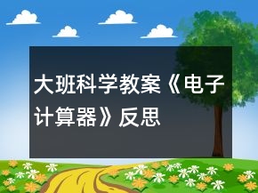 大班科學(xué)教案《電子計(jì)算器》反思