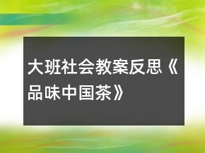 大班社會教案反思《品味中國茶》
