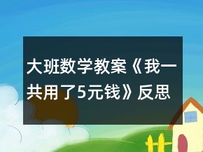 大班數(shù)學(xué)教案《我一共用了5元錢》反思