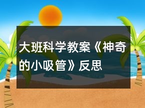 大班科學(xué)教案《神奇的小吸管》反思