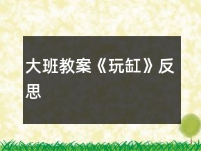 大班教案《玩缸》反思