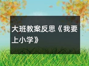 大班教案反思《我要上小學(xué)》