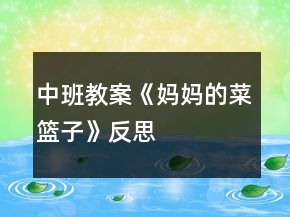 中班教案《媽媽的菜籃子》反思