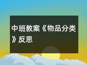 中班教案《物品分類》反思