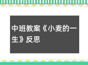 中班教案《小麥的一生》反思