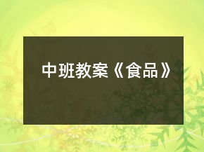 中班教案《食品》