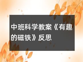 中班科學(xué)教案《有趣的磁鐵》反思