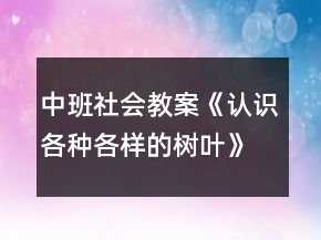 中班社會教案《認(rèn)識各種各樣的樹葉》反思