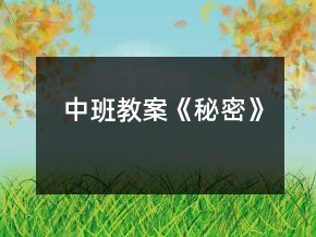 中班教案《秘密》