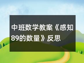 中班數(shù)學(xué)教案《感知8、9的數(shù)量》反思
