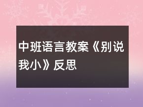 中班語言教案《別說我小》反思