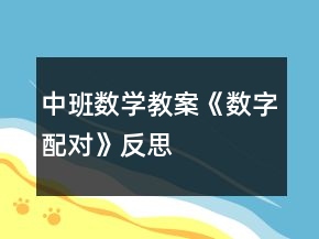 中班數(shù)學教案《數(shù)字配對》反思