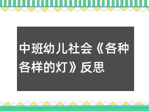 中班幼兒社會《各種各樣的燈》反思
