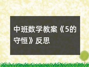 中班數(shù)學教案《5的守恒》反思