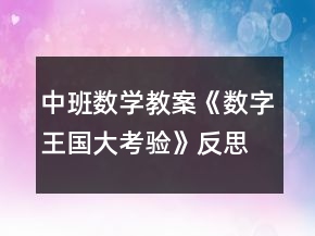 中班數(shù)學(xué)教案《數(shù)字王國大考驗(yàn)》反思