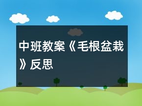 中班教案《毛根盆栽》反思