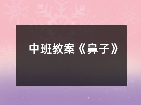 中班教案《鼻子》