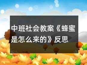 中班社會(huì)教案《蜂蜜是怎么來的》反思