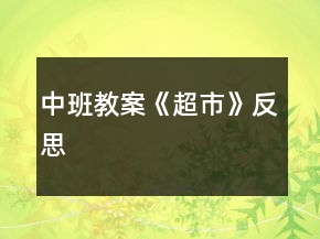 中班教案《超市》反思