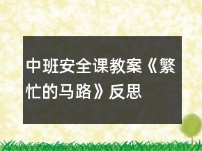 中班安全課教案《繁忙的馬路》反思