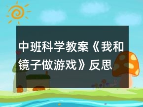 中班科學(xué)教案《我和鏡子做游戲》反思