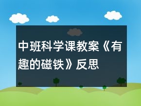 中班科學(xué)課教案《有趣的磁鐵》反思