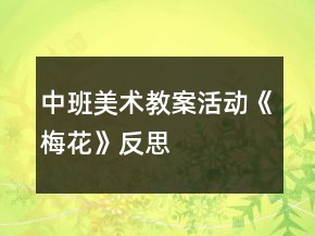 中班美術(shù)教案活動《梅花》反思