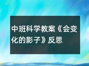 中班科學(xué)教案《會(huì)變化的影子》反思