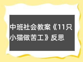 中班社會(huì)教案《11只小貓做苦工》反思