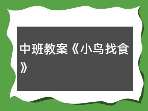 中班教案《小鳥(niǎo)找食》