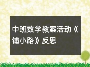 中班數(shù)學教案活動《鋪小路》反思