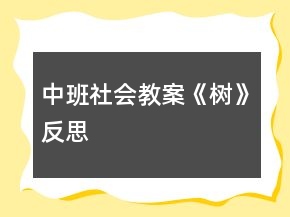 中班社會教案《樹》反思