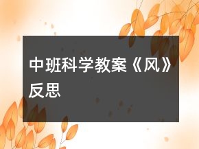 中班科學(xué)教案《風(fēng)》反思