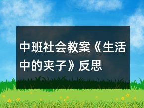 中班社會(huì)教案《生活中的夾子》反思